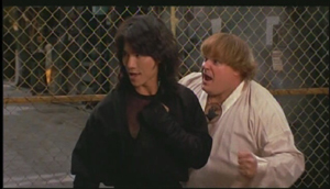 Beverly Hills Ninja